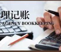 專業(yè)財稅助手，助力合肥企業(yè)高效運營