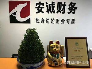楊浦區(qū)審計驗資、注銷變更與財務咨詢，專業(yè)服務找安誠財務王會計